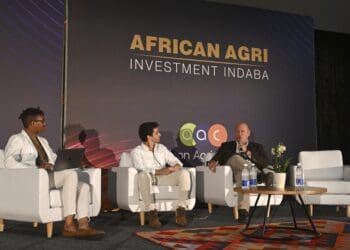 Agricultural leaders convened to explore innovative solutions for Africa’s farming landscape at the African Agri Investment Indaba 2023 in Cape Town. Among the facilitators counted Food For Mzansi deputy editor Duncan Masiwa (left). Photo: Supplied/Ryan Wilkisky/BackpagePix