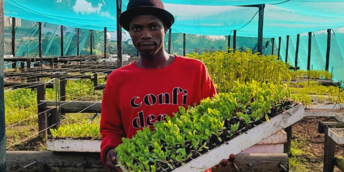 Inheriting 20-hectares, Cele strives to make gogo proud