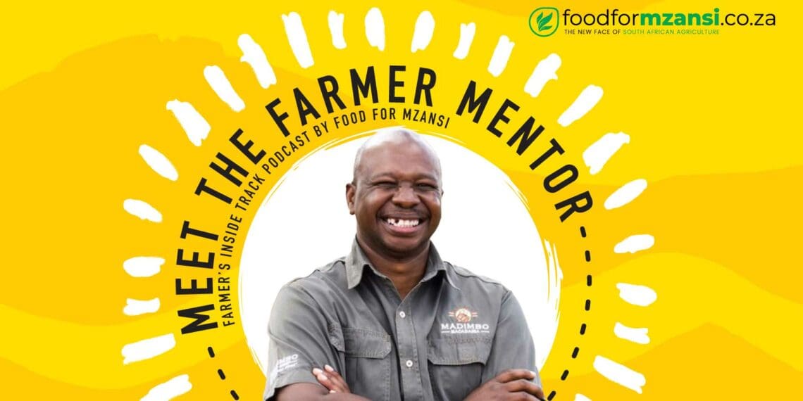 Farmer Mentor: Macadamia farmer Likhanya cracks tough agri nut