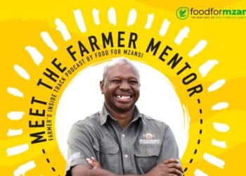 Farmer Mentor: Macadamia farmer Likhanya cracks tough agri nut