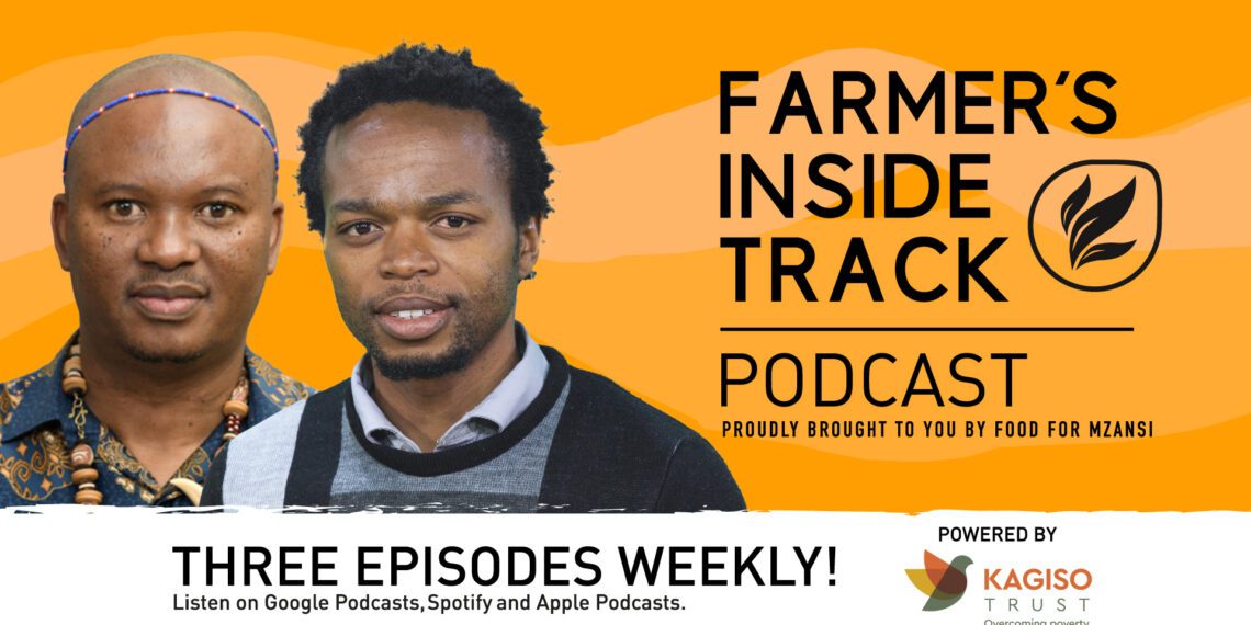 Growing hope: Kagiso Trust explores solutions for new farmers
