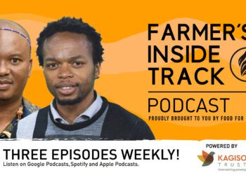 Growing hope: Kagiso Trust explores solutions for new farmers