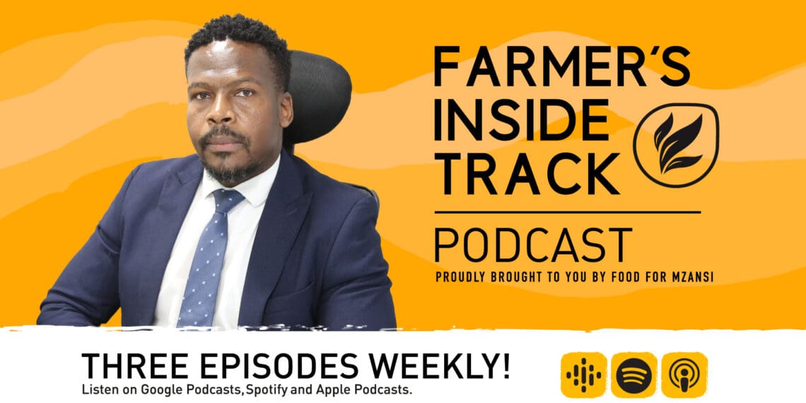 Podcast: Dissecting the current state of food security in SA