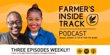 Podcast: Understanding the basics of agri economics