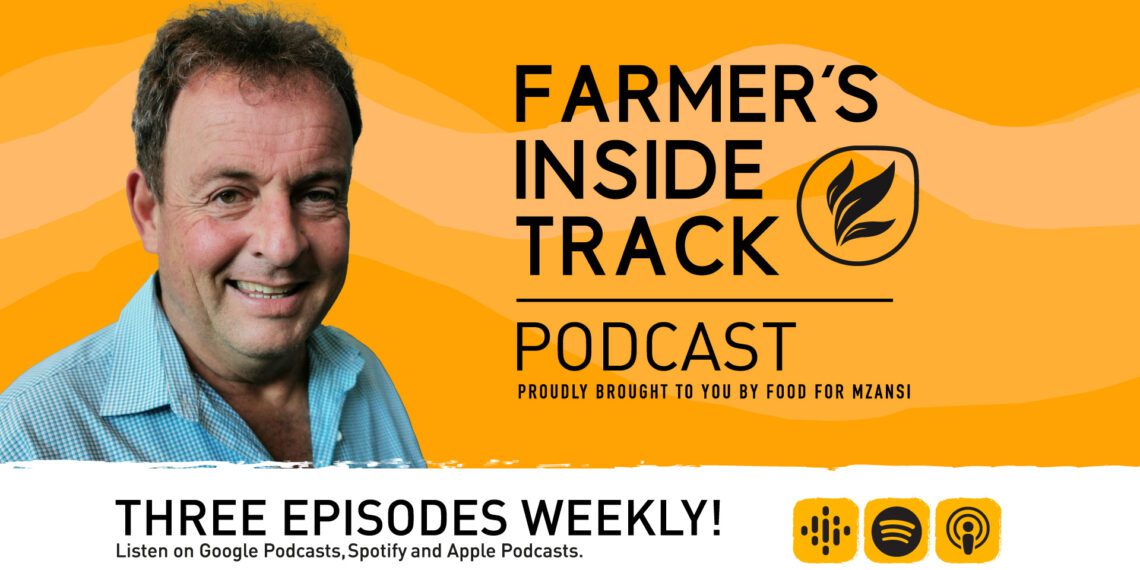 Podcast: Exploring part two of genetic modification