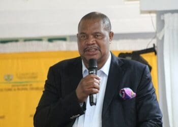 Limpopo agri MEC lashes out at progress-halting CPAs