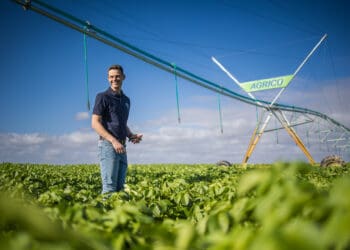 Rooted in success: Agrico offers potato irrigation solutions