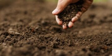 The clock is ticking for soil health, here's what farmers can do