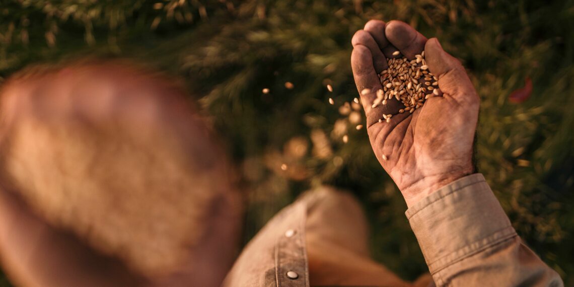 Agri challenges in SA: We need to look through a different lens