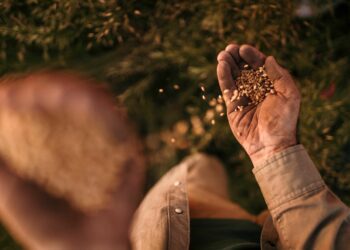 Agri challenges in SA: We need to look through a different lens