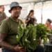 WC crop farmer bounces back post-flood devastation