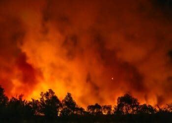 Raging wildfires underscore the intensifying impact of climate change on our environment, urging urgent action for resilience and mitigation. Photo: Supplied/Food For Mzansi