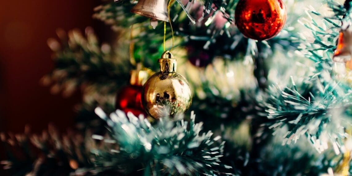 Agri leaders opt for a 'local is lekker' laidback Christmas