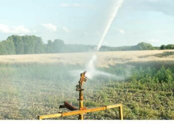 Water recycling – a possible solution to thwart El Niño threat
