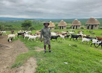 Visionary farmer takes agritourism to KZN village