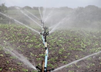 Climate change: Reversing the impact of vanishing surface water