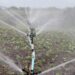 Climate change: Reversing the impact of vanishing surface water