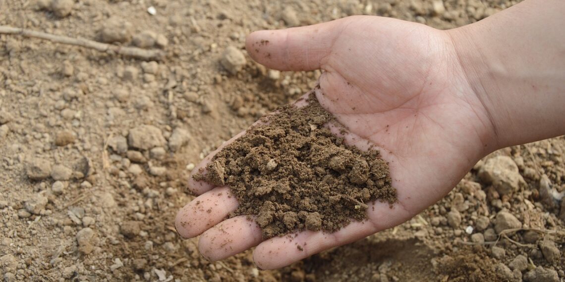 Soil texture: How to find the perfect mix and maintain it