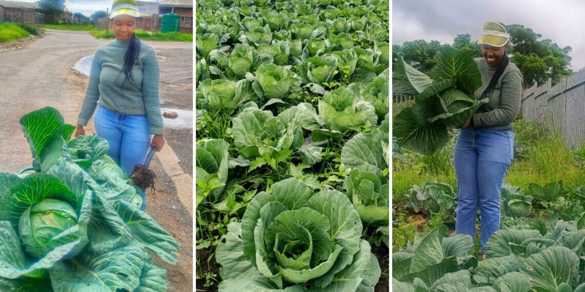Lunathi Zake from the Eastern Cape is most happy in her vegetable garden, which comes with lots of challenges. However, she tackles them head-on and hopes to conquer her dreams of becoming a commercial farmer. Photo: Supplied/Lunathi Zake