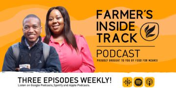 Podcast: Understanding the infectious nature of livestock abortions