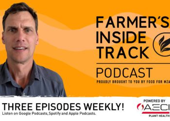 Podcast: Get to the root cause of why citrus leaves turn yellow