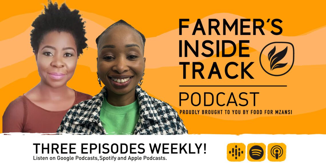 Lily Siachitema, a post-harvest technology consultant, discusses avocados and #SoilSista Moji Kodisang also joins the podcast. Photo: Food For Mzansi