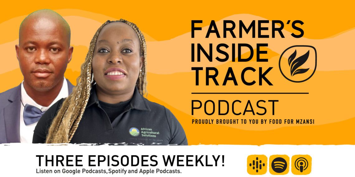 Podcast: How to take your soil texture to the next level