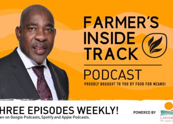 Podcast: Land Bank’s asset insurance is the lifeline you need