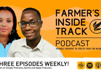 Podcast: Stay on track with proper cattle record-keeping