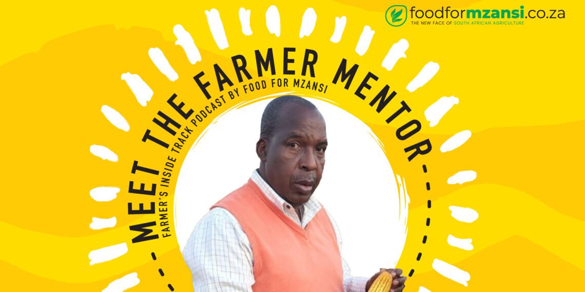 Farmer Mentor: Mthombeni's mega farm is bursting at the seams
