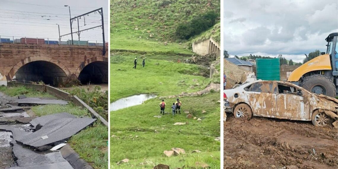 While the recent KwaZulu-Natal floods have not yet shown an impact on agriculture, the department has proactively initiated a special committee to assess the overall damage caused by the floods. Photo: Supplied/Food For Mzansi