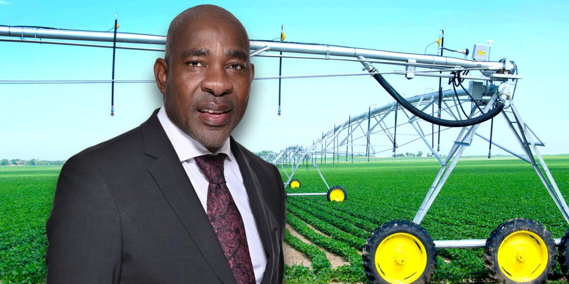 Safeguard your harvest with Land Bank’s credit life insurance
