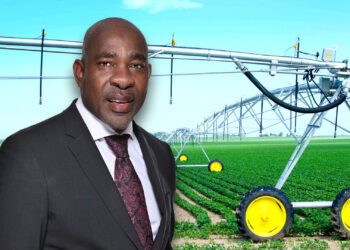 Safeguard your harvest with Land Bank’s credit life insurance