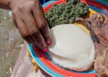 Mealie meal – more than maize, it’s a cultural icon