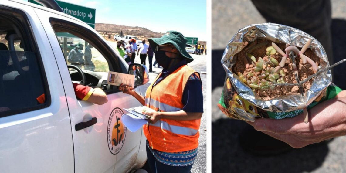 ICYMI: Crackdown in Kuruman as poachers face harsh sentence