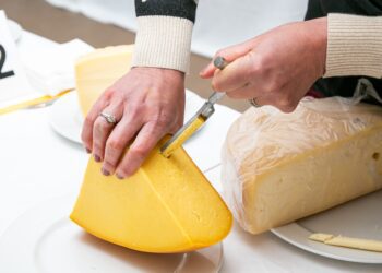 ICYMI: Enter now for the 2024 SA Dairy Championships