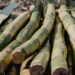 The future of Mzansi's sugar industry hangs in the balance