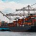 Export opportunities shine bright for Mzansi farmers in 2024