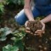 Building the business case for conservation agriculture