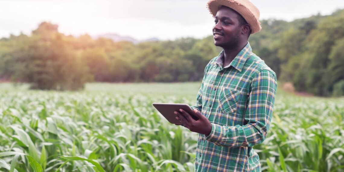 A farm inventory management system – a tool to fuel growth