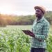 A farm inventory management system – a tool to fuel growth