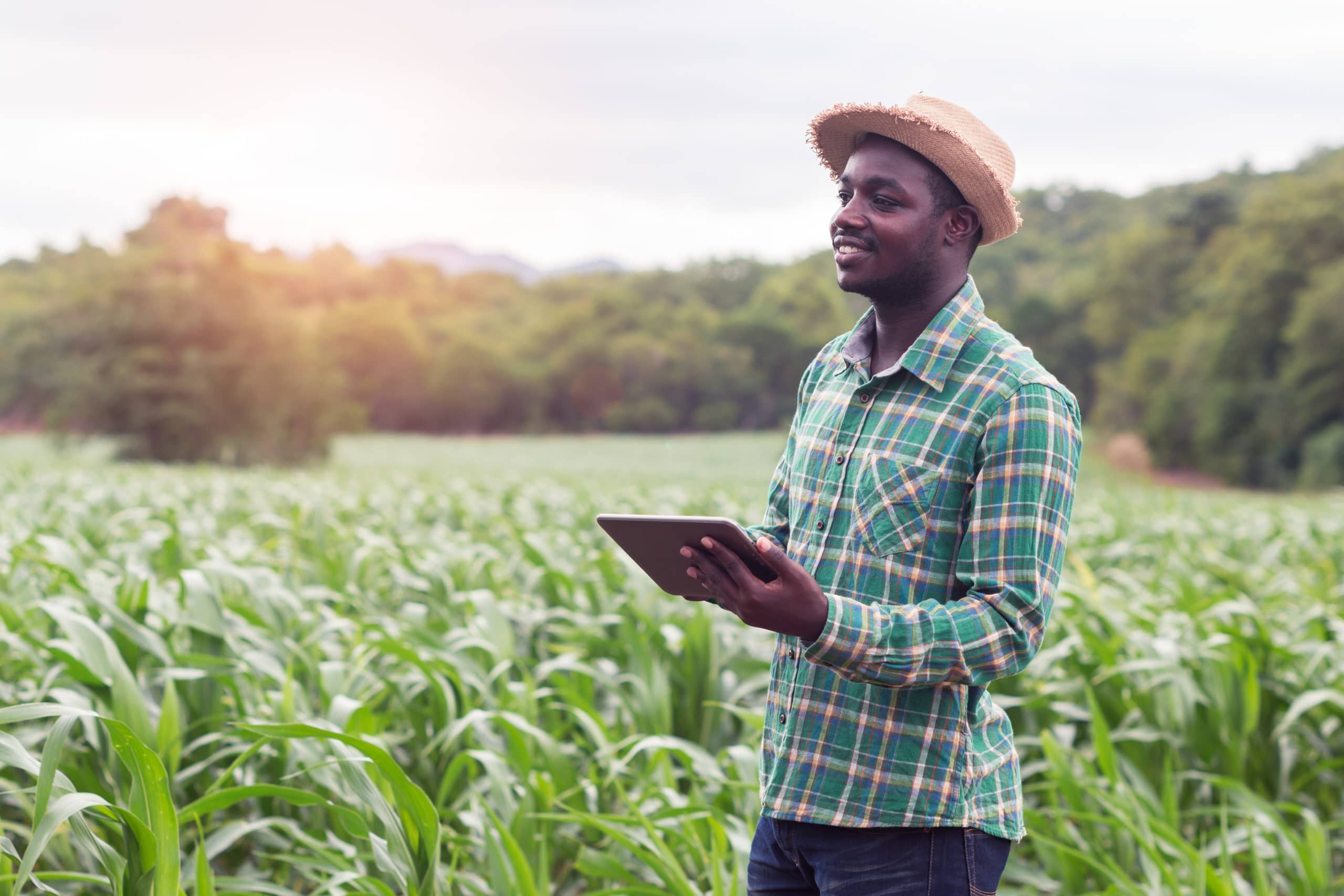 Farm Inventory Farm inventory management systems – a tool to fuel growth - Food For Mzansi