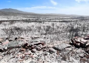 Climate Change: Cape Town wildfires warn of future challenges