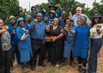 Minster Thoko Didiza with workers, SAB representatives and CPA members at the Moletele community farm in Limpopo. Photo: Supplied/Food For Mzansi