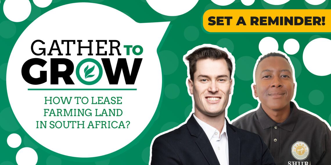This week's Gather To Grow session will unpack how to lease land, the importance of leasing land, and what to look out for. Photo: Food For Mzansi
