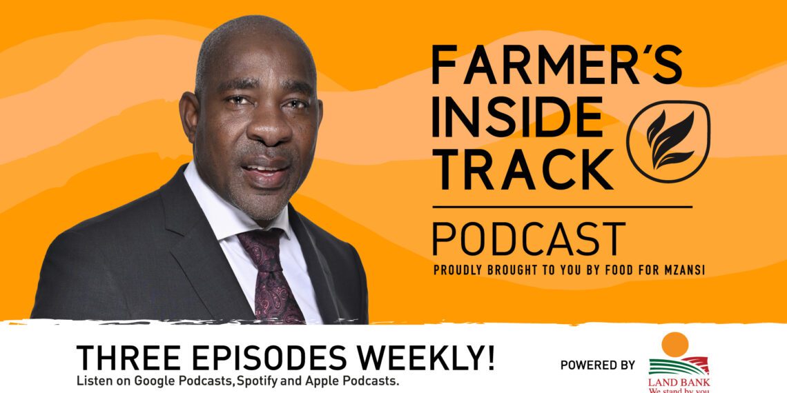 Pascal Siphugu, general director of Land Bank Insurance Company. Photo: Food For Mzansi