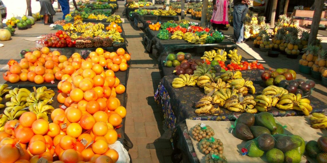 With a focus on sustainable transformation, market access, and governmental relations, Fruit South Africa aims for significant economic empowerment by 2038. Photo: Supplied/Unsplash