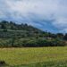 ‘Fix land reform funding and foster partnerships’