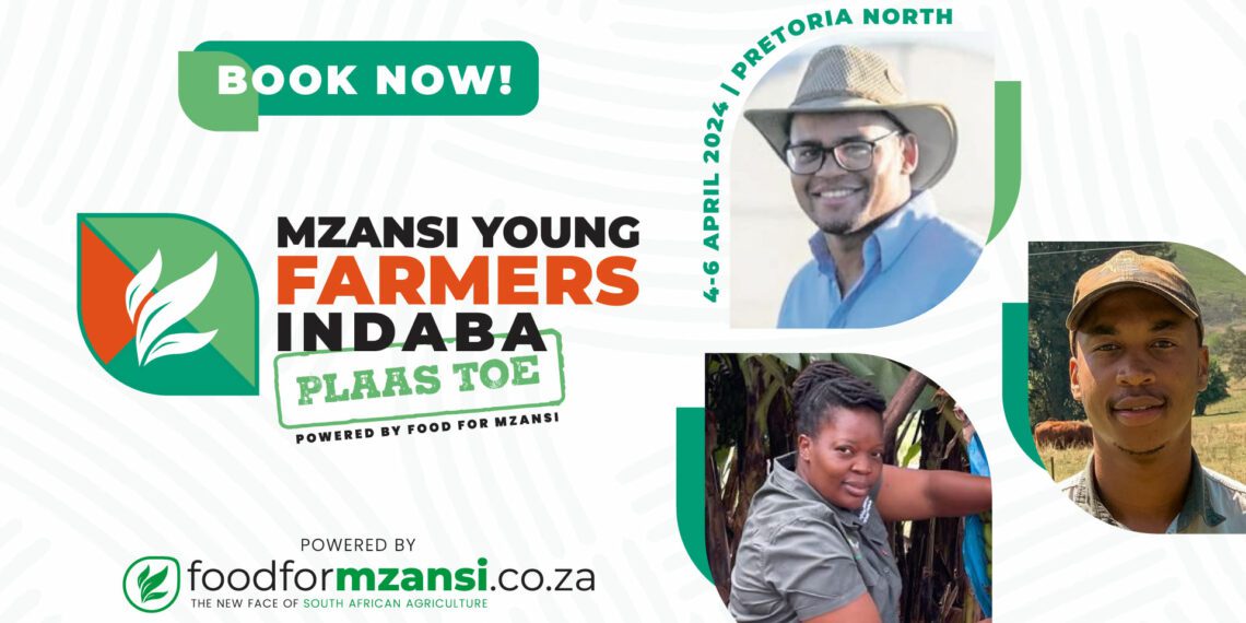Portia Mdhlovu, general manager of Laughing Waterfall, hydroponics farmer Byron Booysen, and Phikolomzi Dlamini, farm manager at Sweet Basil Farm are looking forward to the Mzansi Young Farmers Indaba. Photo: Supplied/Food For Mzansi