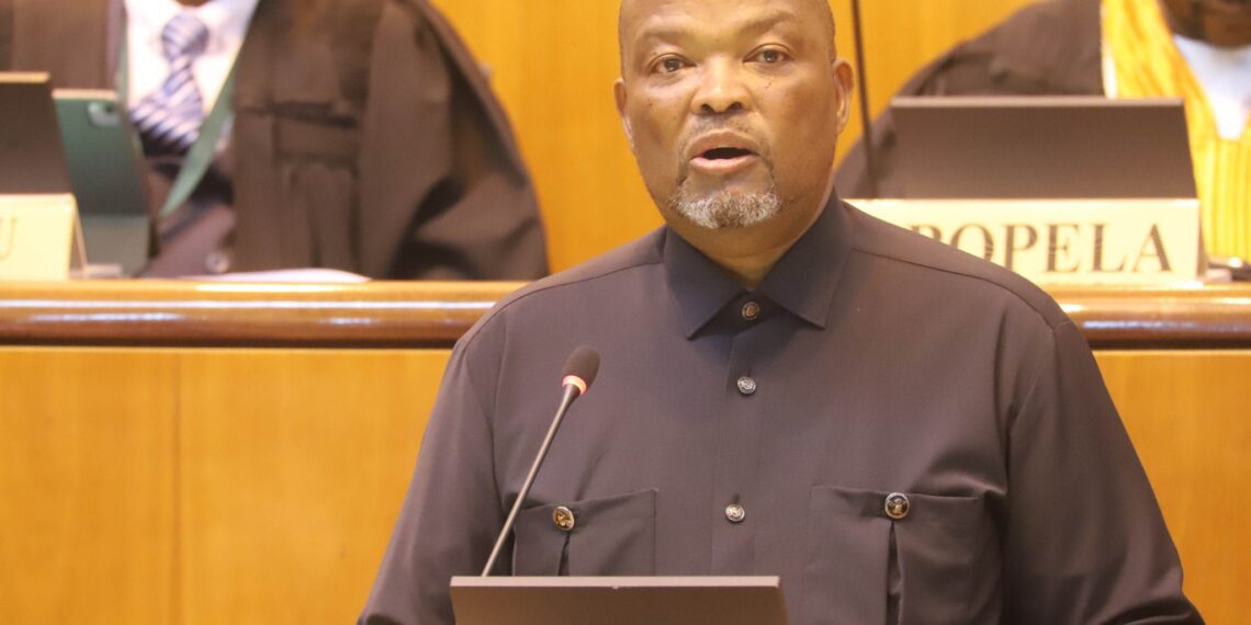 North West acting premier Nono Maloyi delivered his State of the Province Address and has prioritised agriculture with R91 million allocated for infrastructure. Photo: NW Legislature